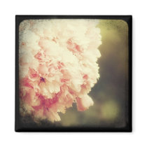 "From A Passing Car" Magnet by starlingphotos "From A Passing Car" Magnet