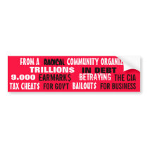 FROM A RADICAL COMMUNITY ORGANIZER: bumper stickers