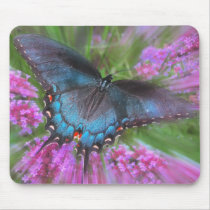 From above mousepads