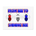 From Bee To Shining Bee Postcard