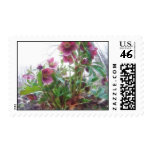 From Below - Garden Hellebore Plant Stamps