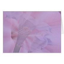 From Bud to Blossom Cards