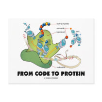 From Code To Protein (Protein Synthesis) postcards