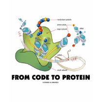 From Code To Protein (Protein Synthesis) t-shirts by wordsunwords From Code To Protein (Protein Synthesis) t-shirts
