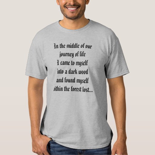 the divine comedy t shirt