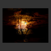 From Darkness Comes posters