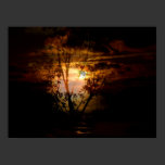 From Darkness Comes posters
