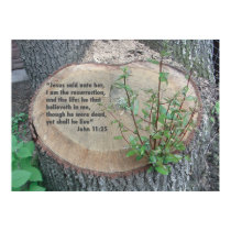 From Death comes Life -- Scripture posters by cherylarogers From Death comes Life -- Scripture posters