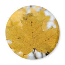 from fall to heaven magnets by blacqbook from fall to heaven magnets