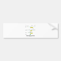 From Gene To Protein Bumper Sticker