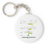 From Gene To Protein Key Chains