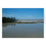 From Gulf To Bay Greeting Cards
