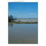 From Gulf To Bay Greeting Cards