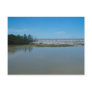 From Gulf To Bay Post Cards