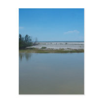 From Gulf To Bay Postcards