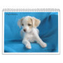 From Harlan to Safe Hands Wall Calendars