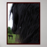From His Eyes Art Print