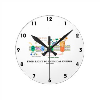 From Light To Chemical Energy (Photosynthesis) Wall Clocks