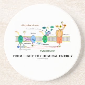 From Light To Chemical Energy (Photosynthesis) Coasters