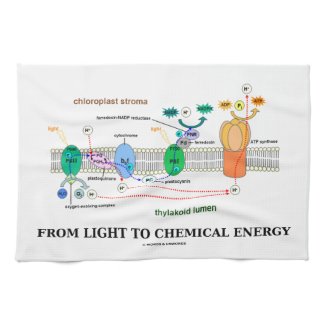 From Light To Chemical Energy (Photosynthesis) Towels