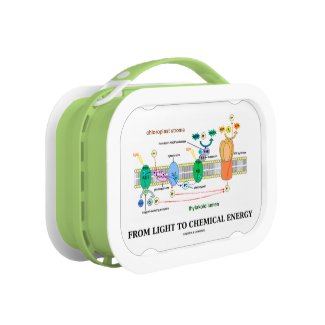 From Light To Chemical Energy (Photosynthesis) Lunch Box