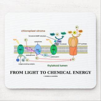 From Light To Chemical Energy (Photosynthesis) Mouse Pad