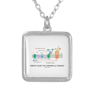 From Light To Chemical Energy (Photosynthesis) Pendants