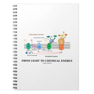 From Light To Chemical Energy (Photosynthesis) Note Books