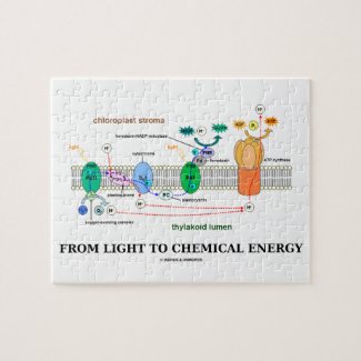 From Light To Chemical Energy (Photosynthesis) Puzzles