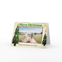 From Our Home to Yours - - cards by samack From Our Home to Yours - - cards