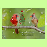 From our home to yours, Merry Christmas(Cardinals) cards