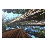 From Start to Finish photography
