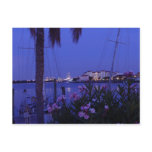 From the Cove Postcard