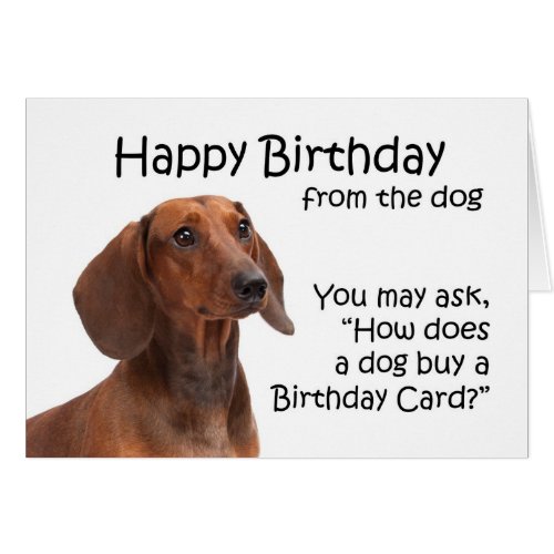 From the Dachshund Birthday Card