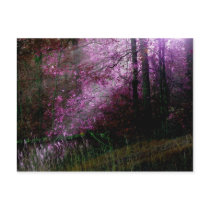 From the Darkness Postcard by palmateera From the Darkness Postcard