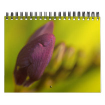 From the earth abundant wall calendars