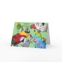 From the Flock Birthday Greeting Cards