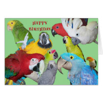 From the Flock Birthday cards