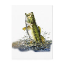 From the FreshWater Collection by FishTs.com Post Cards