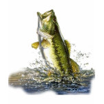 From the FreshWater Collection by FishTs.com