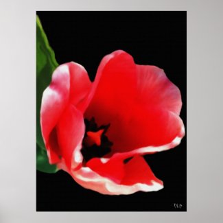 From The Garden Prints zazzle_print