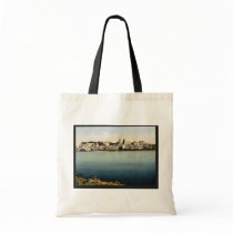 From the Isle de Barthalasse, (i.e., Ile de la Bar Bag