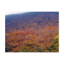 From the Mountains postcards