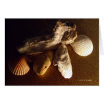 "From the Sea" card
