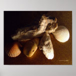 "From the Sea" poster