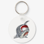 From the Sharks Collection by FishTs.com