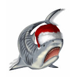 From the Sharks Collection by FishTs.com
