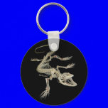 From the Skulls Collection