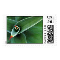 From The Top postage