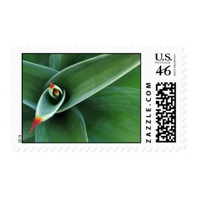 From The Top Postage by theluckyone